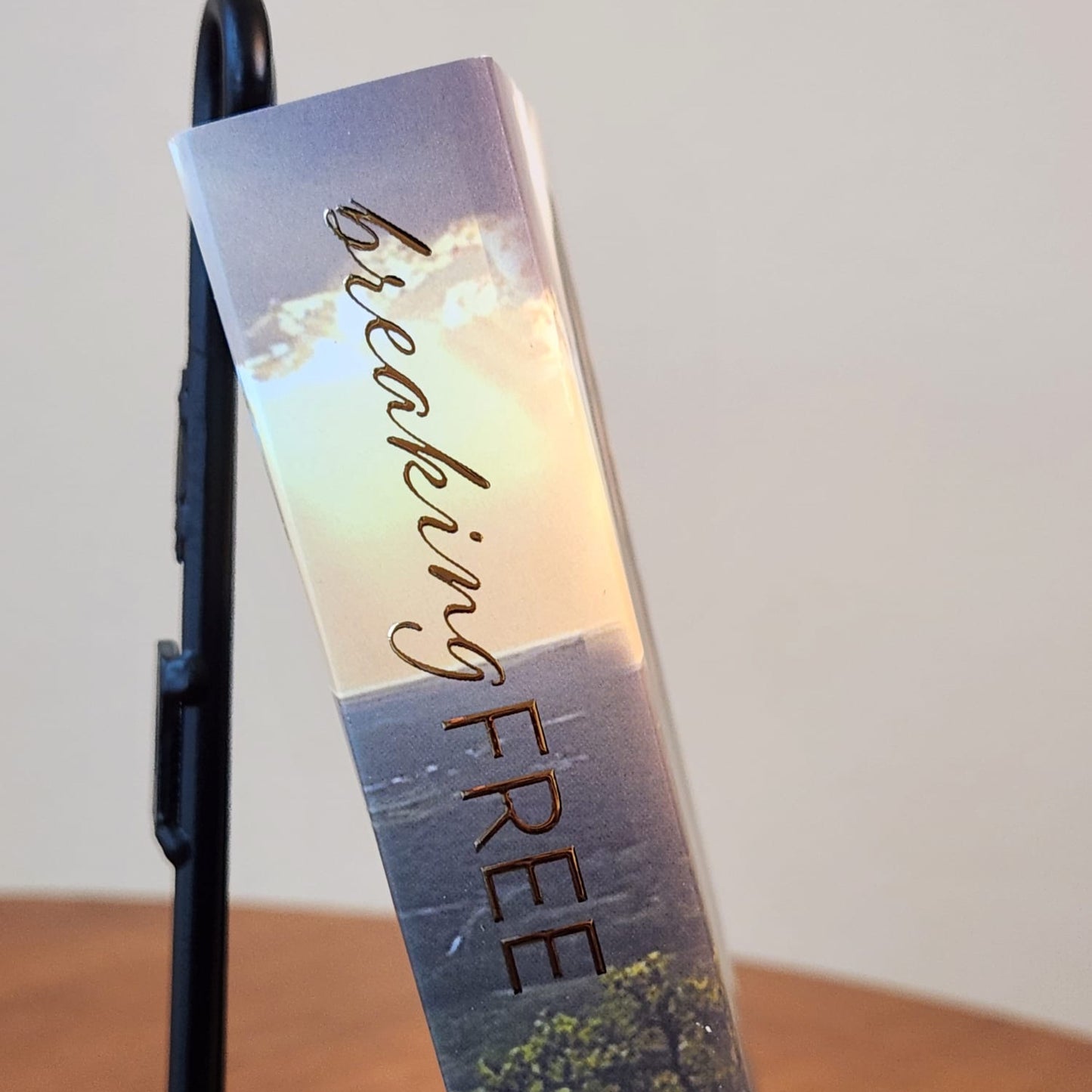 Breaking Free - Special Edition